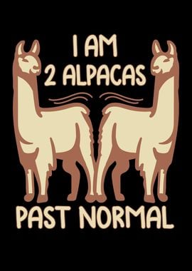 2 Alpacas past normal