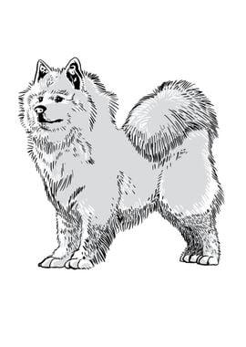 Samoyed Sled Dog Gift