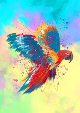 Colorful Parrot Bird