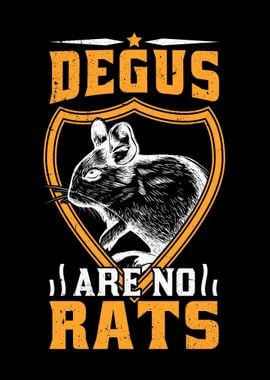 Degus Are Not Rats Rodents