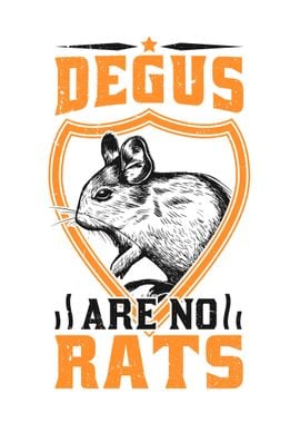 Degus Are Not Rats Rodents