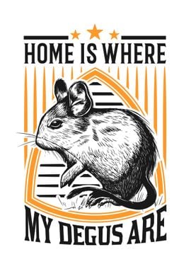 Home Is Where My Degus Are