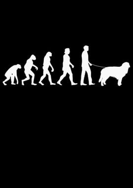 Hovawart Evolution Dog