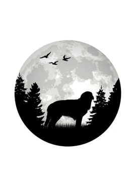 Hovawart Moon Dog Owner