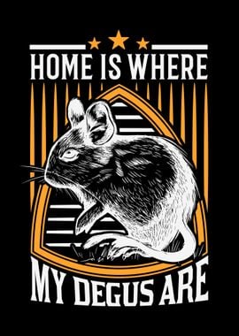 Home Is Where My Degus Are