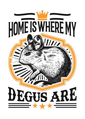 Home Is Where My Degus Are