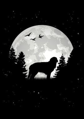 Hovawart Moon Dog Owner