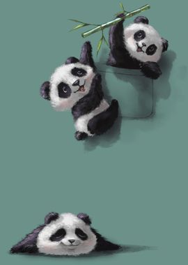 Cute Panda Playing