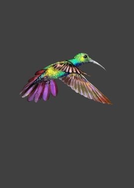 Green purple Hummingbird