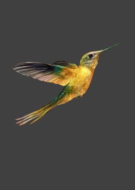 Yellow brown Hummingbird