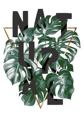 NATURAL GEOMETRIC MONSTERA