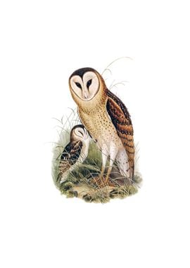 Vintage Grass Owl Bird