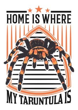 Home Is Where My Tarantula