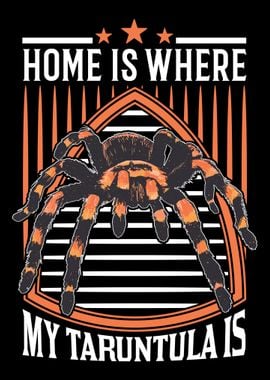 Home Is Where My Tarantula