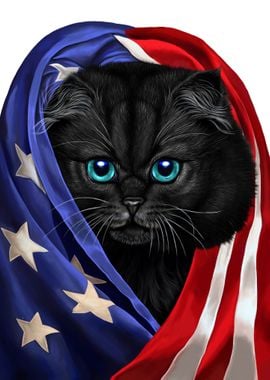 Black Cat USA Patriot