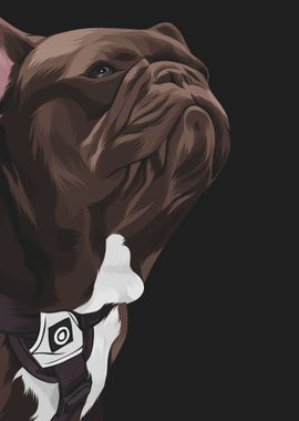 Dog Wallpaper