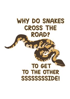 Snakes cross the road