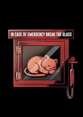 Emergency Cat