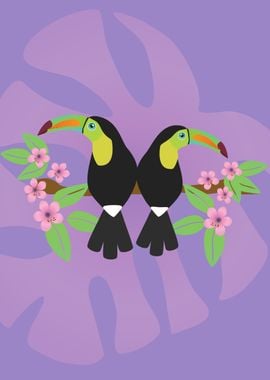 Keel billed toucans couple