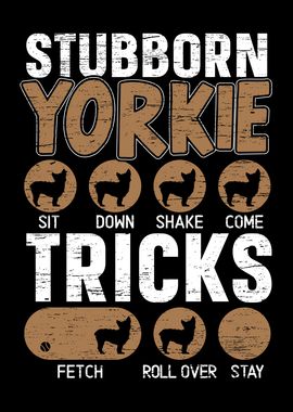 Stubborn Yorkie Tricks