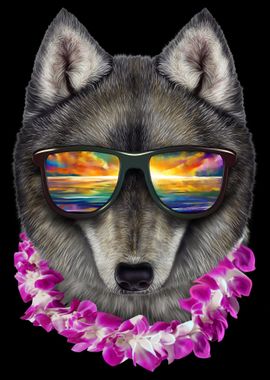 Wolf on Holiday in Hawaii