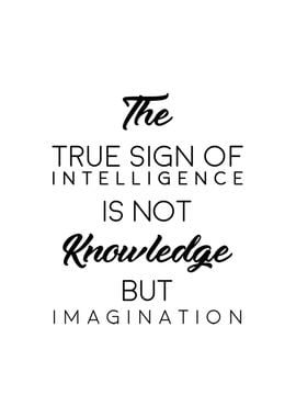 Imagination Quotes WallArt