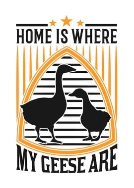 Home Is Where My Geese Are