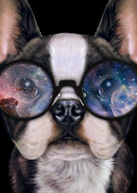 French Bulldog in Space