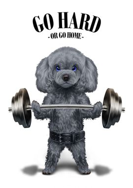 Poodle Dog Weightlifting