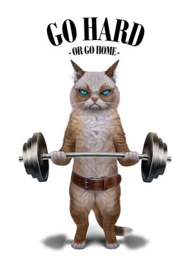 Ragdoll Cat Weightlifting