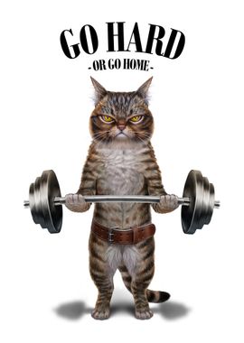 Tabby Cat Weightlifting