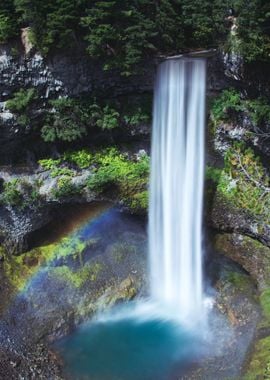 Waterfall in Forest Nature