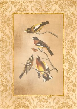 Antique Birds and Flowers