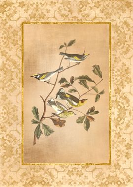 Antique Birds and Flowers