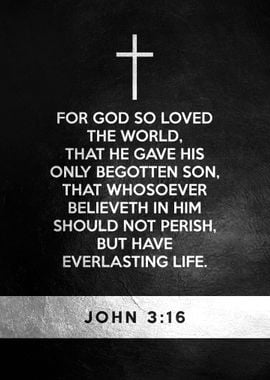 John 3 16