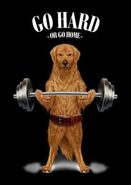 Labrador Dog Weightlifting