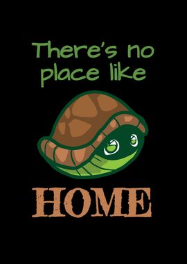 Turtle Nothing Like Home