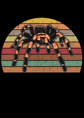 Tarantula Retro Spider