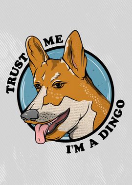 Dingo