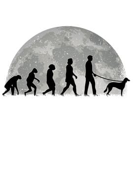 Saluki Moon Evolution