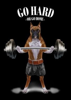 Boxer Dog Weightlifting