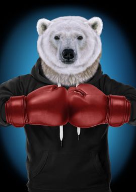 Boxer Polar Bear