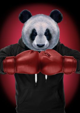 Boxer Giant Panda