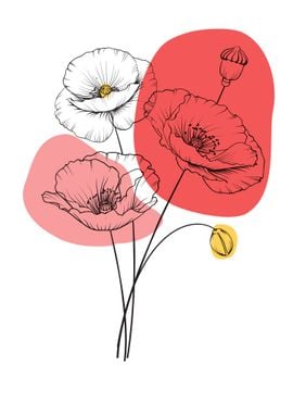 Abstract Flower Poppy