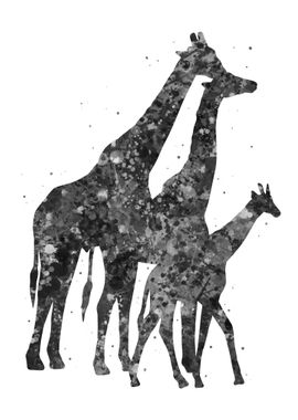 Giraffe family