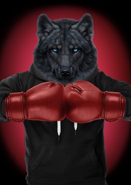 Boxer Black Wolf