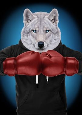 Boxer Polar Wolf