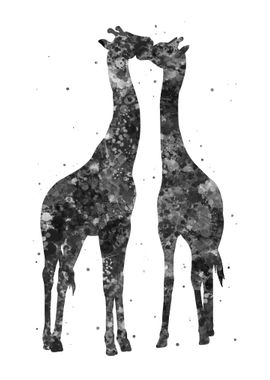 Giraffe couple