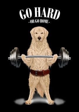 Labrador Dog Weightlifting