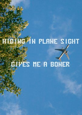 HIDING IN PLANE SIGHT